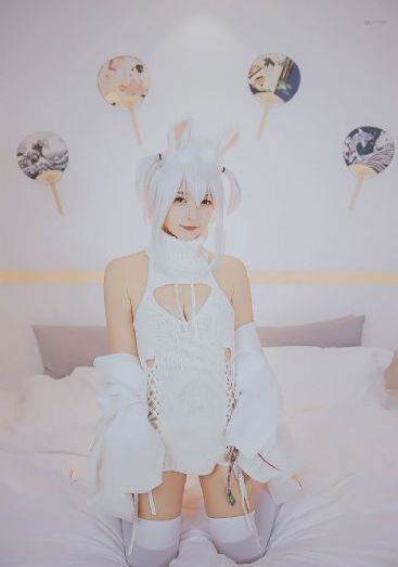 風犬少年的天空免費觀看全集