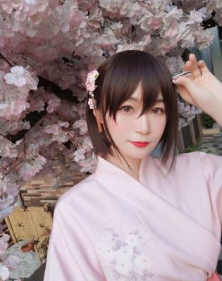 風吹半夏全網免費觀看全集完整版