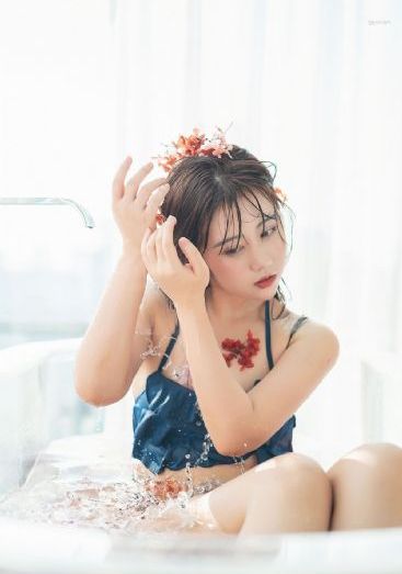 埃及貓