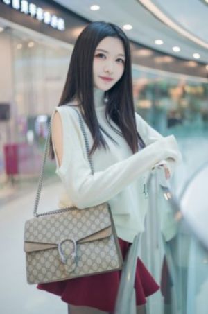 少年歌行第三季海外仙山篇